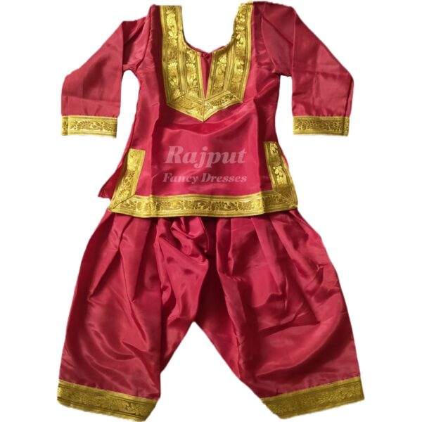 Punjabi Costume for Girl - Image 3